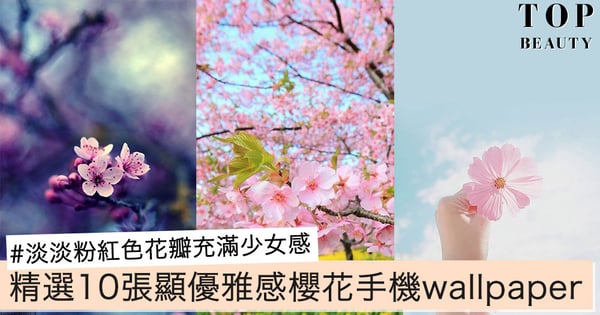 精選10張櫻花手機wallpaper~淡淡粉紅色花瓣充滿少女感,更顯優雅!