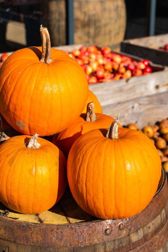 木瓜-超級食物-豐胸養顏-去水腫1