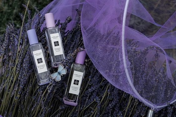 Jo malone lavender collection