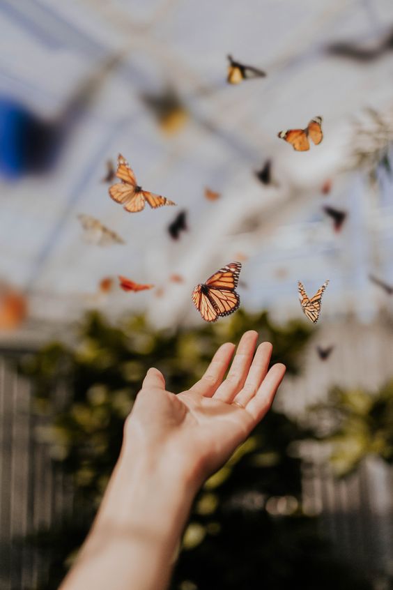 【人生哲理】逆境求生的智慧 人生沒有過不去的坎 