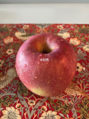 靚媽胡杏兒產後極速修身 健康餐單曝光 高蛋白、高脂肪絕不捱餓！