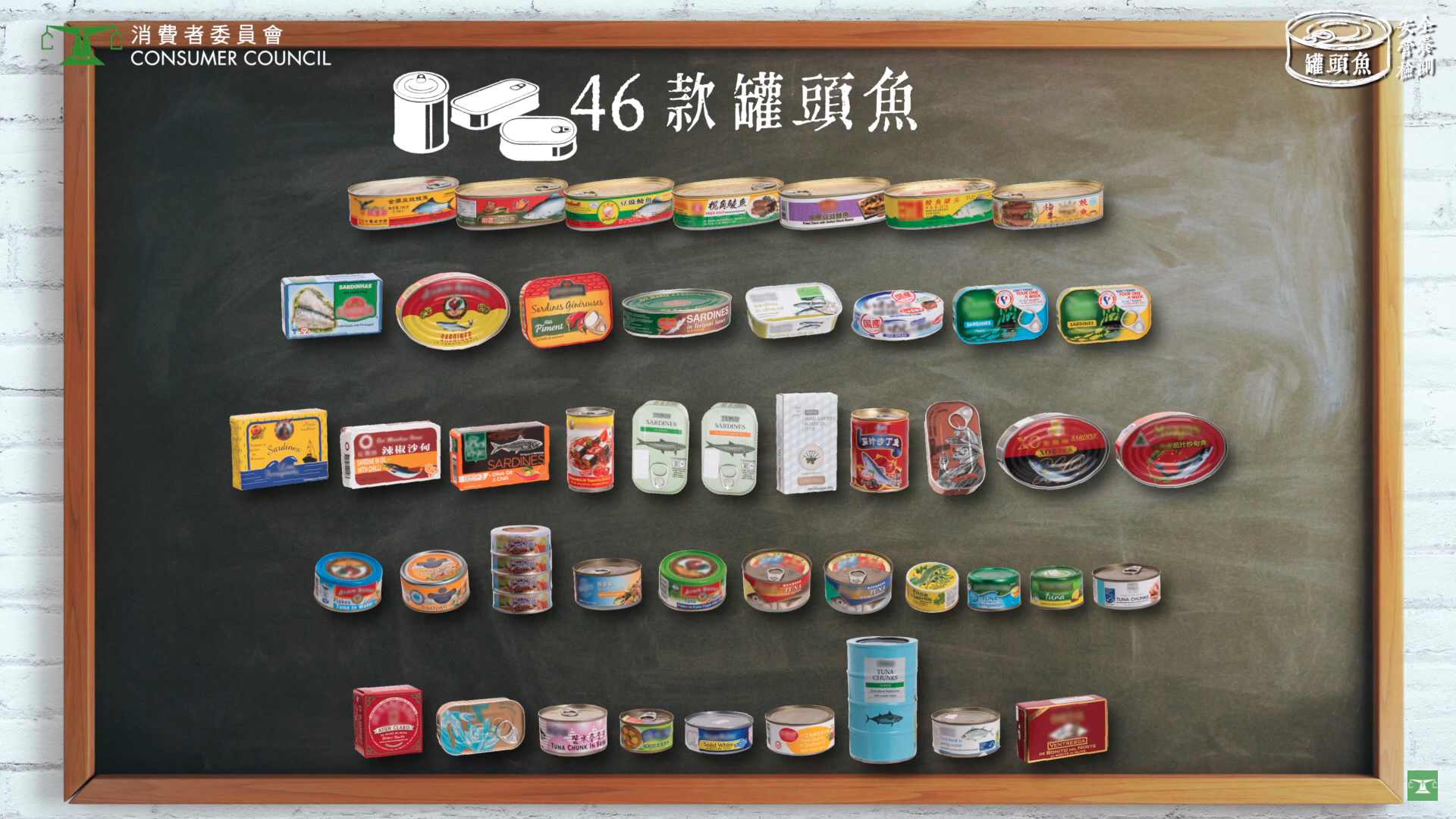 46款罐頭魚測試