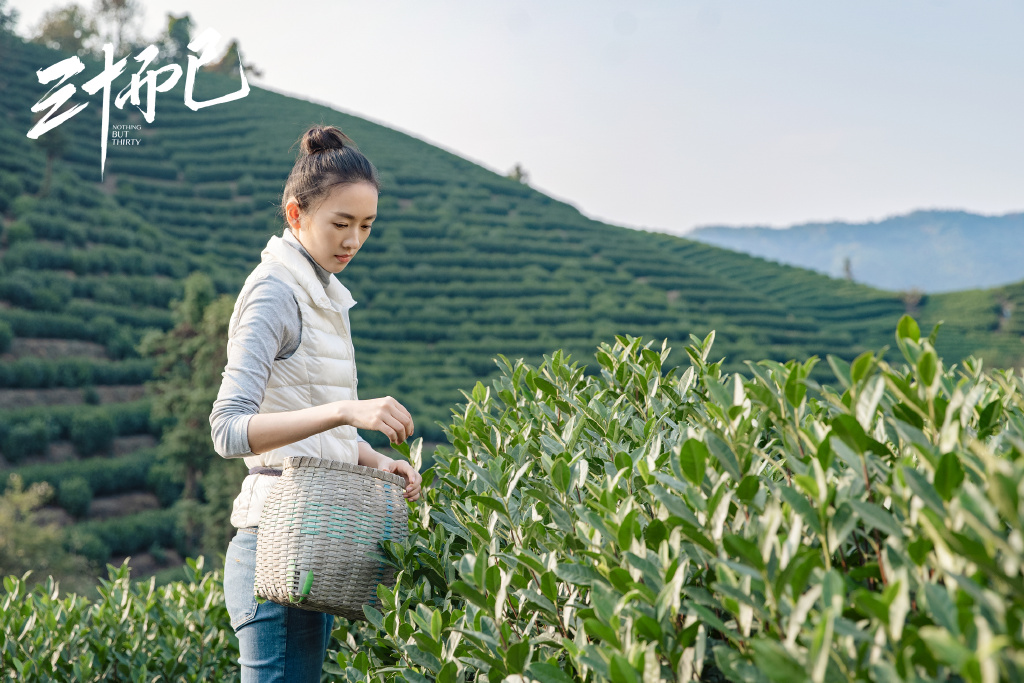 【三十而已】10句精闢台詞句句扎心 是現代30歲女人的內心寫照