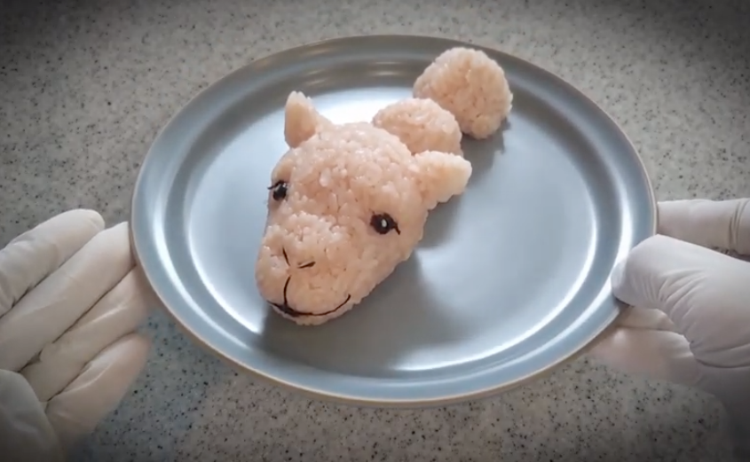 【萌爆了飯糰食譜】OL帶飯推介 簡單幾個步驟自製QQ飯糰 零廚藝也能瞬間變食神