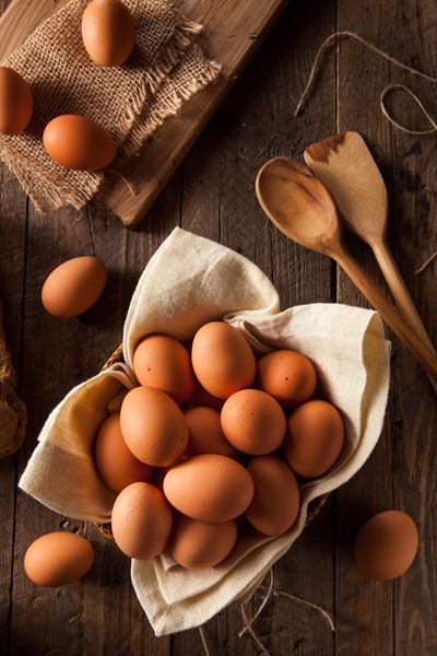 Egg