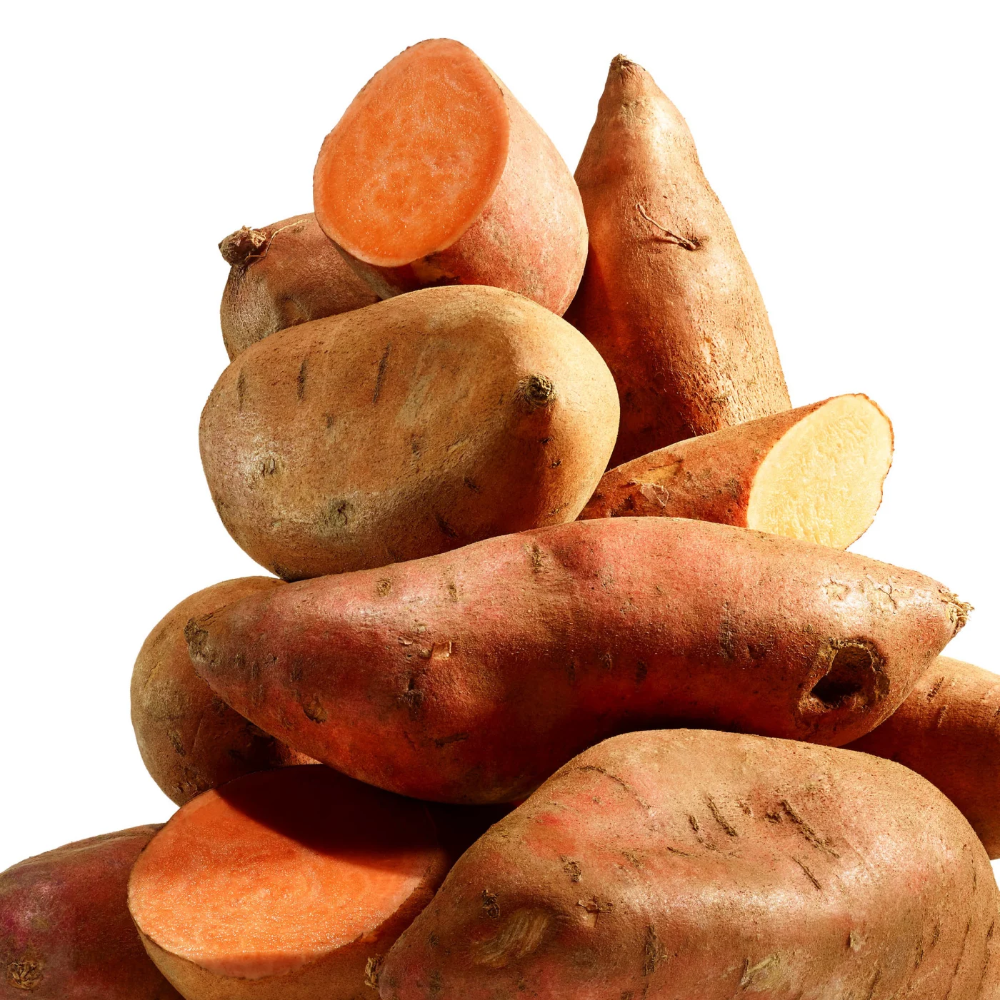 Sweet Potato