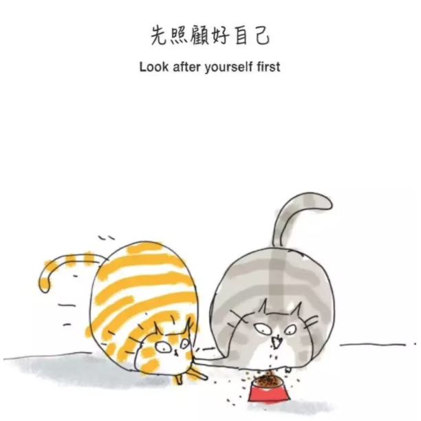 在職場上永遠都要有喵態度,先照顧好自己才能幫助別人
