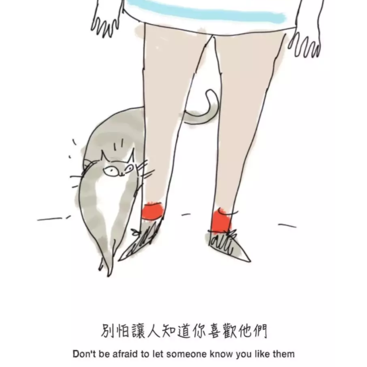 愛要及時,學會喵態度,喜歡他們就要大聲說出來!