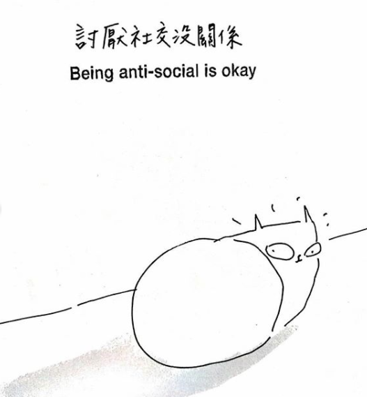 討厭社交沒關係,學習喵喵的態度高冷但卻善良