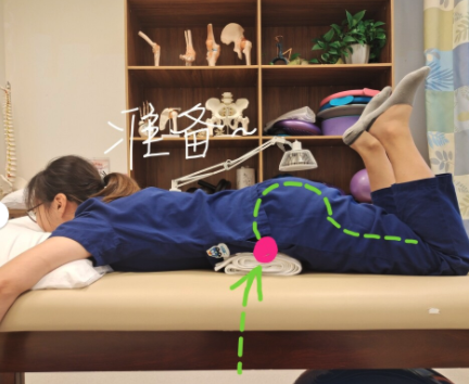 前凸後翹是假象 3招運動正盆骨