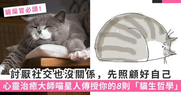 剷屎官必讀!討厭社交也沒關係,先照顧好自己,心靈治癒大師喵星人傳授你的8則「貓生哲學」!