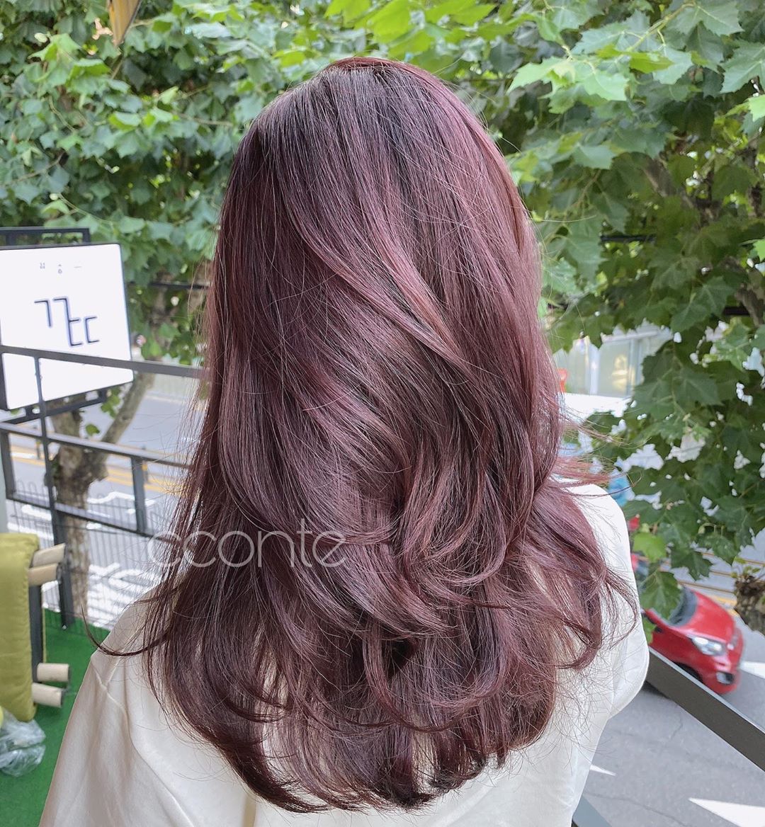 【2020秋季至Hit髮色】李聖經「琥珀玫瑰髮色」仙氣逼人 6款髮色令你瞬間嫩度爆棚