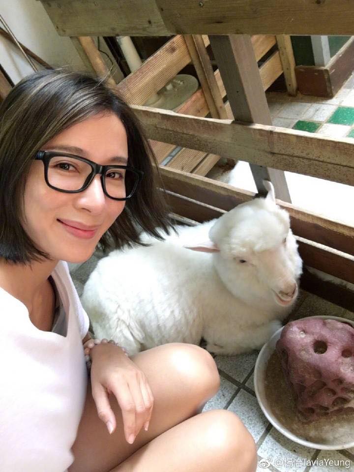 楊怡公屋長大 靠努力由零對白路人做到視后 如今終於捱出豪宅