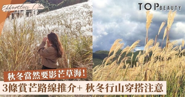 【行山賞芒草】3條「芒草海」行山路線推介 山系女孩的秋冬穿搭注意