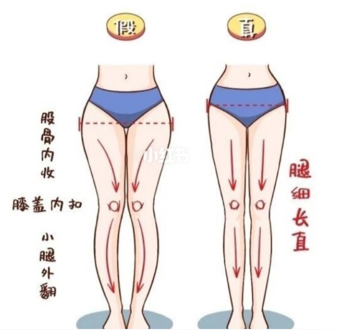 【告別五五身】「假胯寬」造成腳短、腳粗?5個動作回正骨盆 練出緊實美腿及臀部