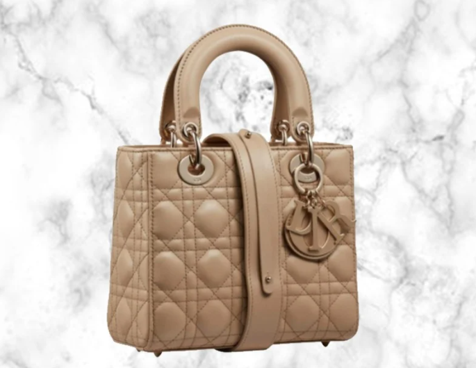 【Dior 2021手袋】必入皮革化妝箱手袋 復古又實用 Saddle等換上奶茶色掀起熱潮