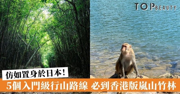 【行山好去處】5個入門級行山路線  美景宛如世外！香港版嵐山竹林、茅湖廢堡、天然海蝕洞必打卡！