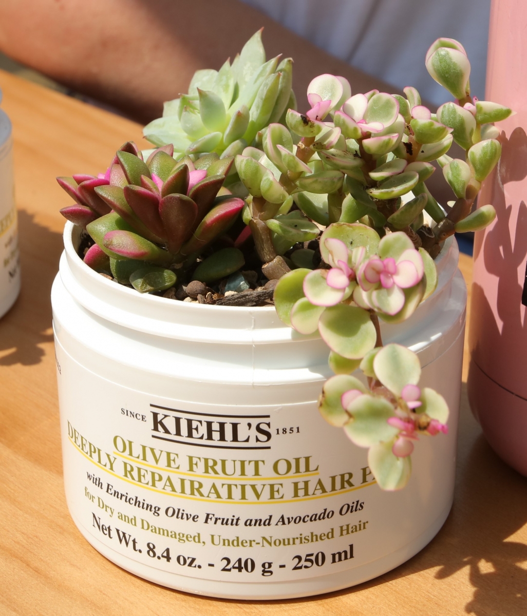 Kiehl's Upcycling Plant