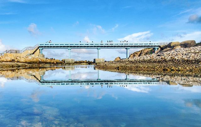 東京奧運何詩蓓打卡11