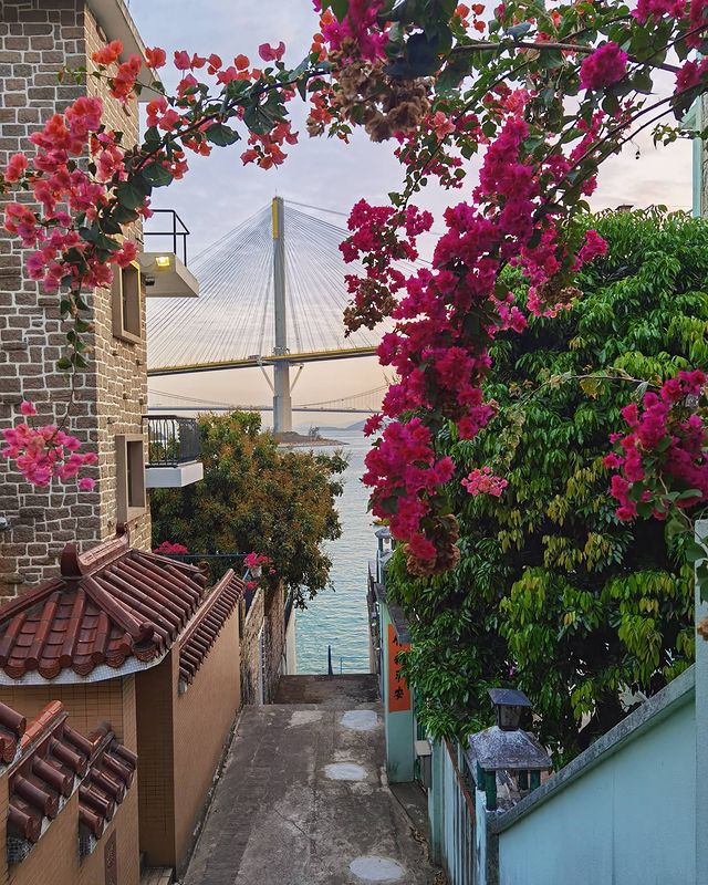 東京奧運何詩蓓打卡9