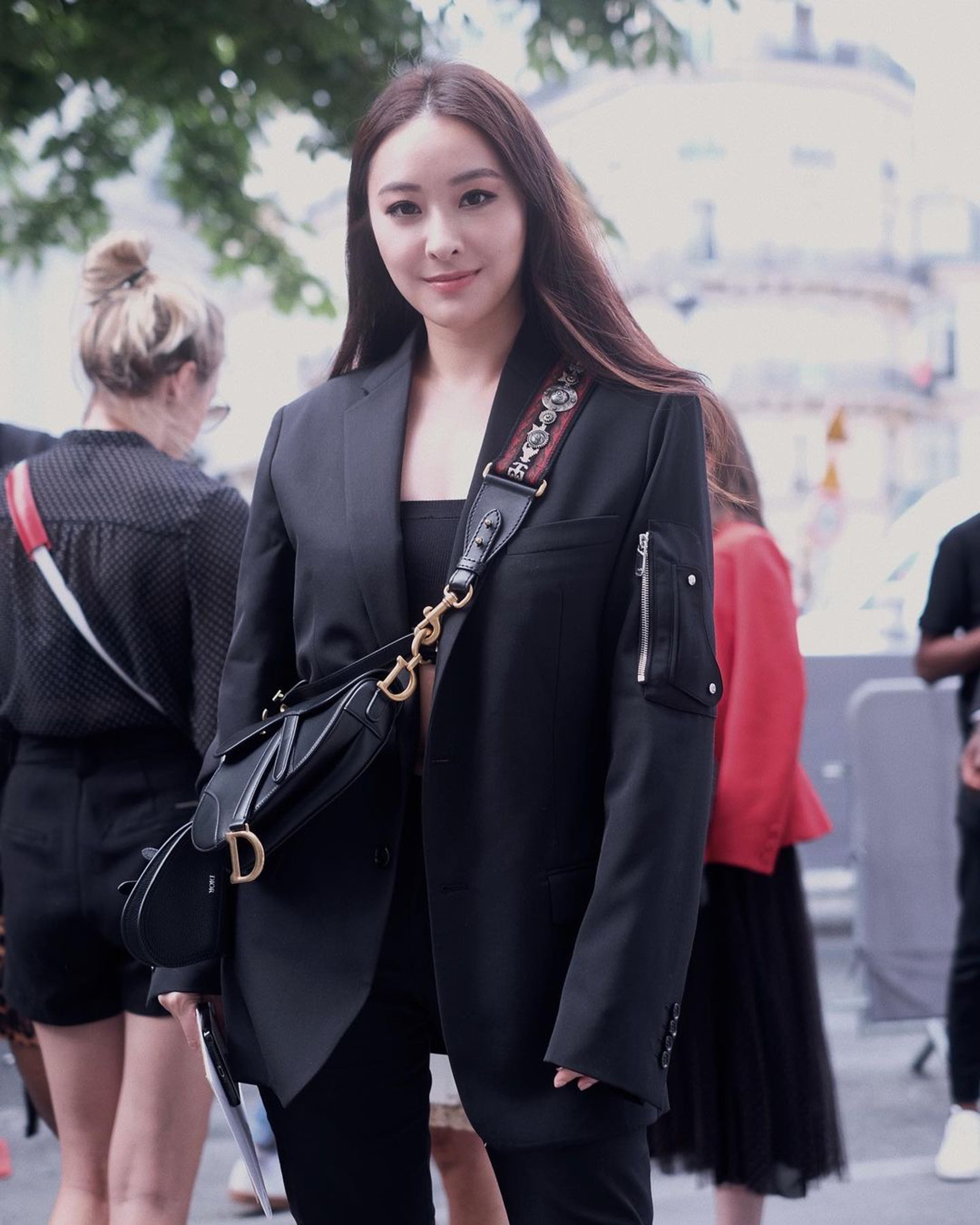 Dior Saddle Bag