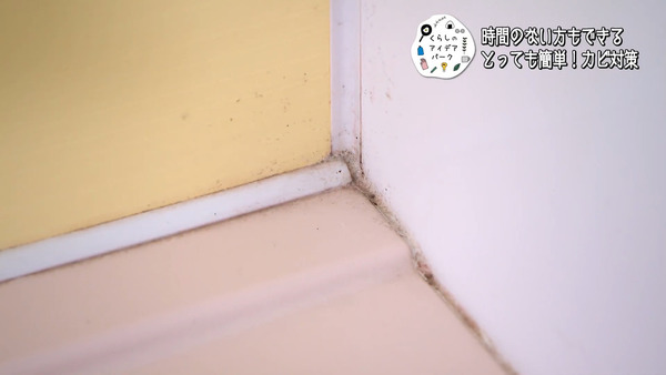 浴室的地板最易滋生黑色點點