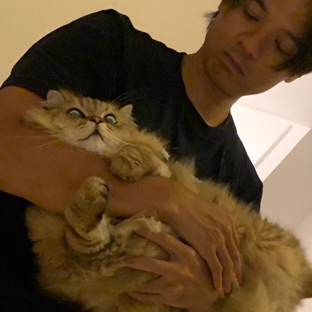 舒淇分享馮德倫抱貓照片。