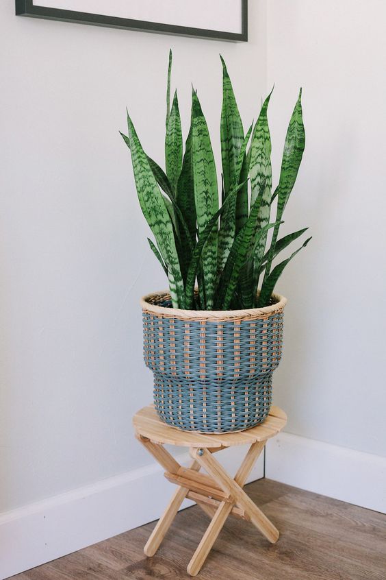 提升辦公室或在家的看書效率