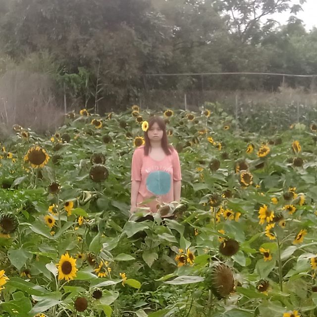 薛影儀狂數「東涌羅浩楷」