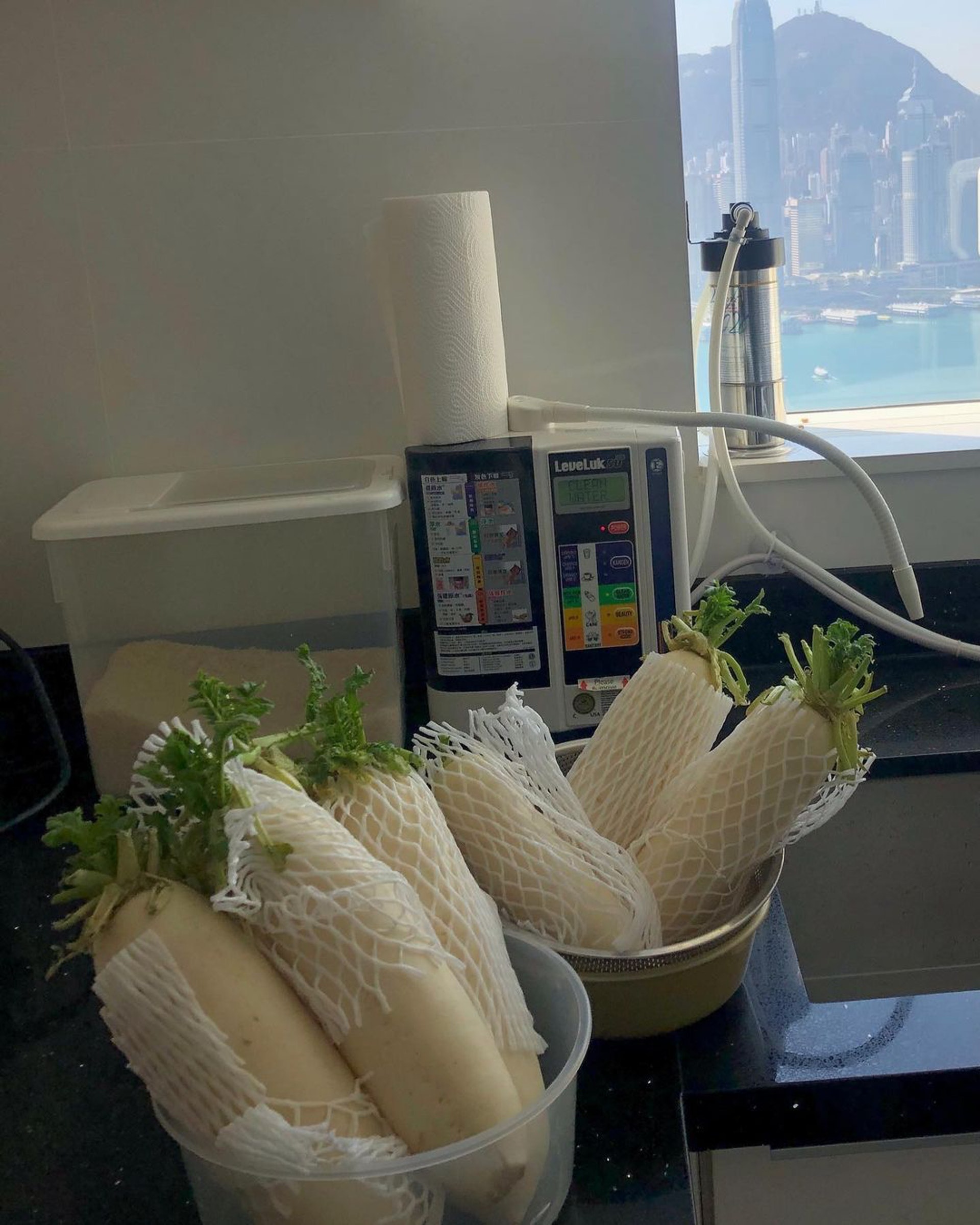 郭可盈家中的廚房可以看到海景