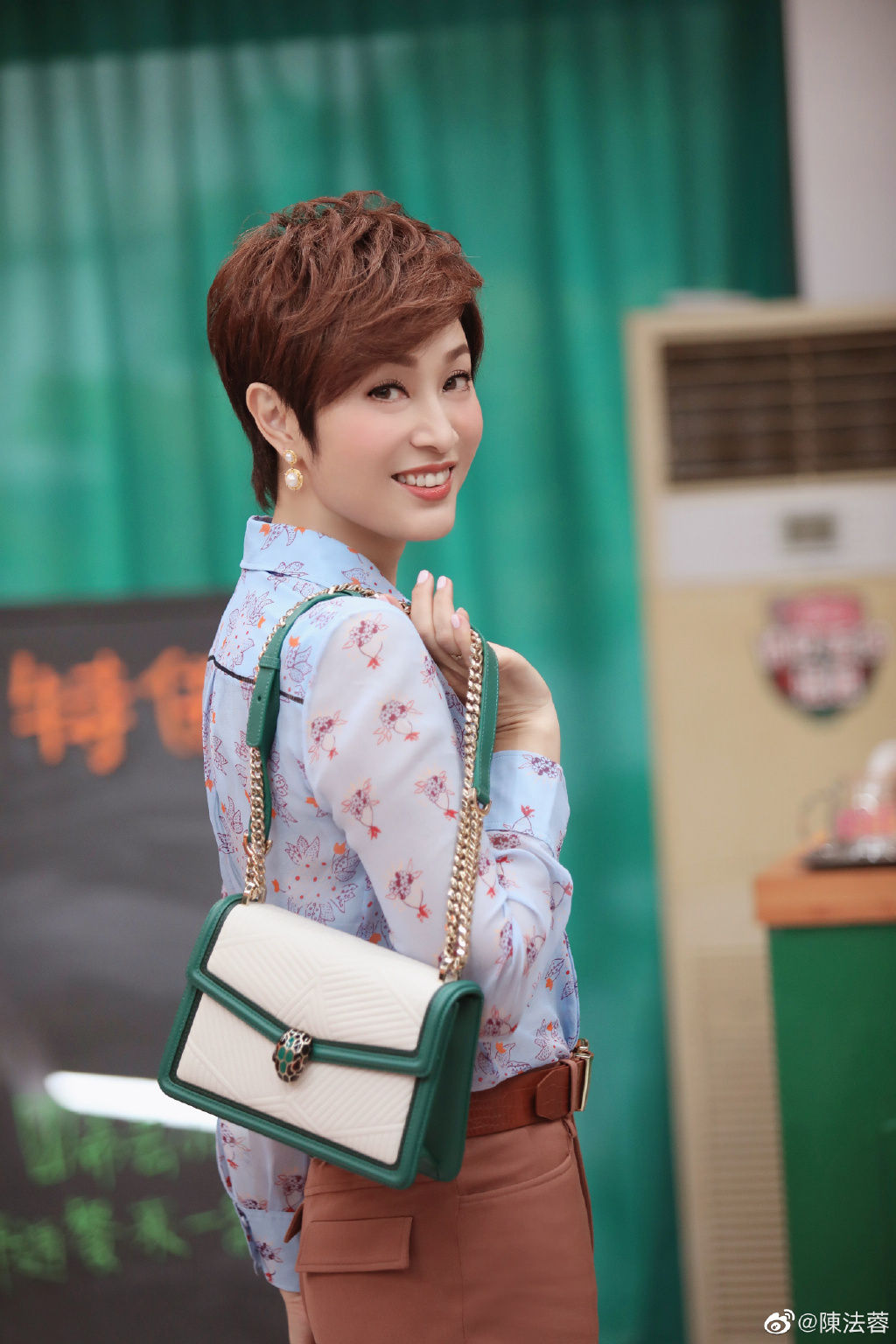 陳法蓉自爆曾答應求婚後悔婚