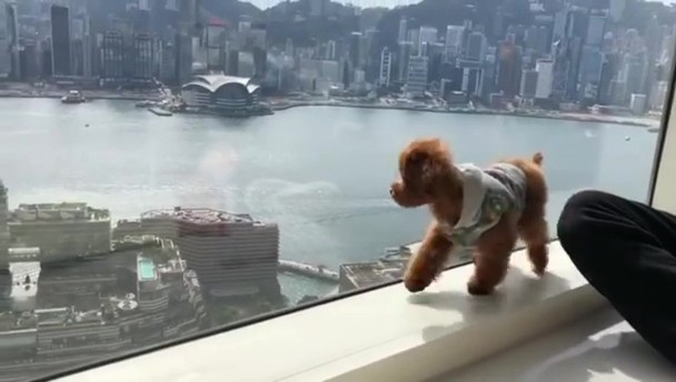 郭可盈的家擁有無敵海景
