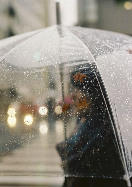 頭髮造型在下雨天