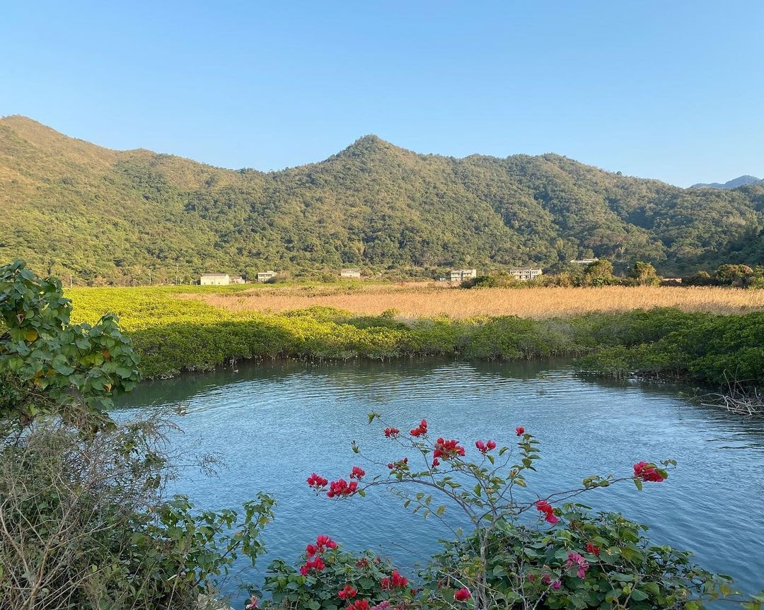 鹿頸至谷埔行山徑
