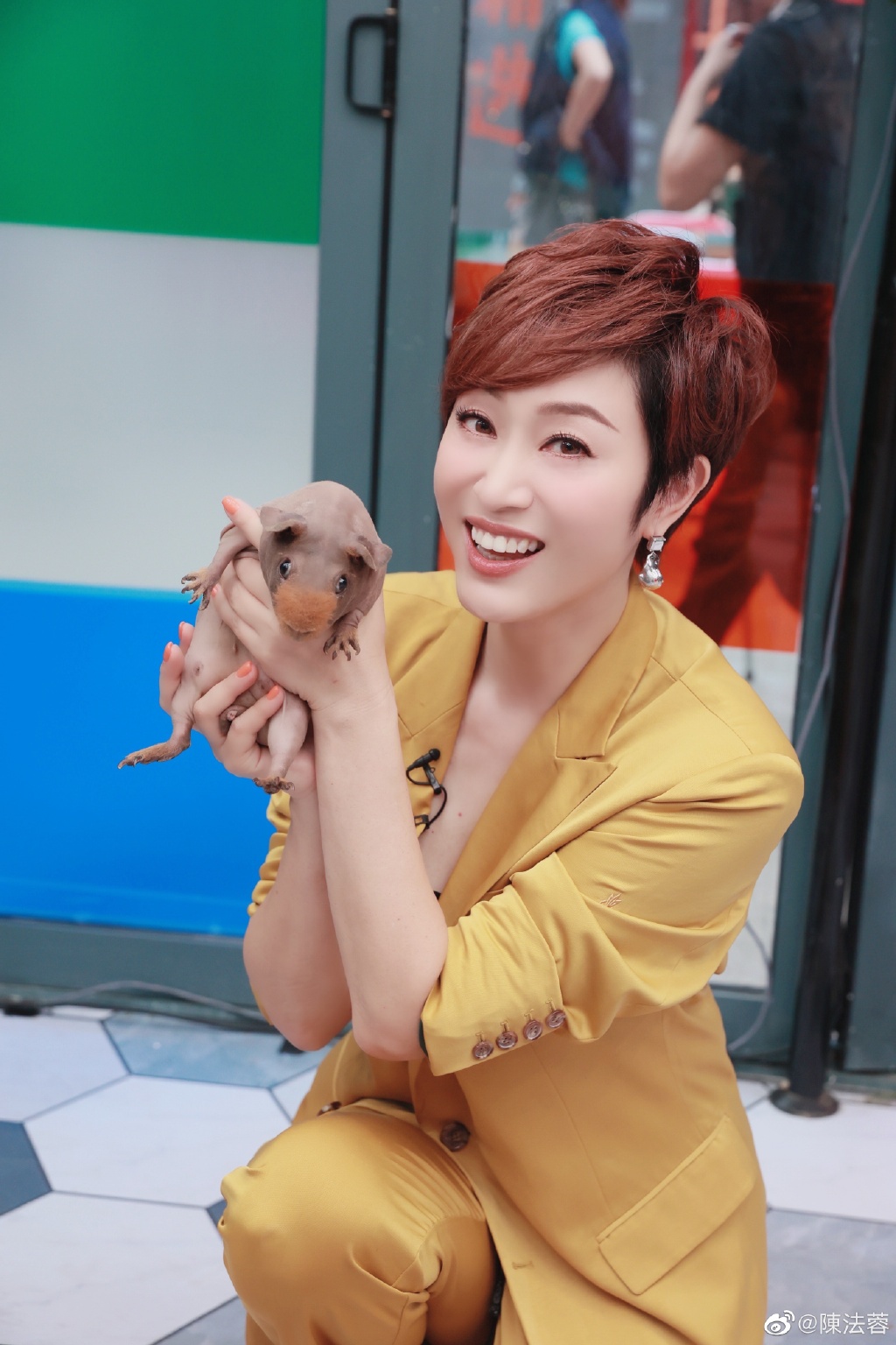 陳法蓉從來不乏追求者