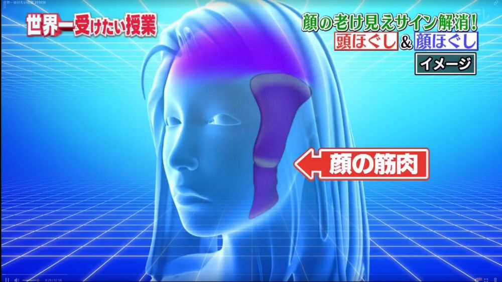 法令紋、眼部細紋、雙下巴等其實同頭部的肌肉有關。