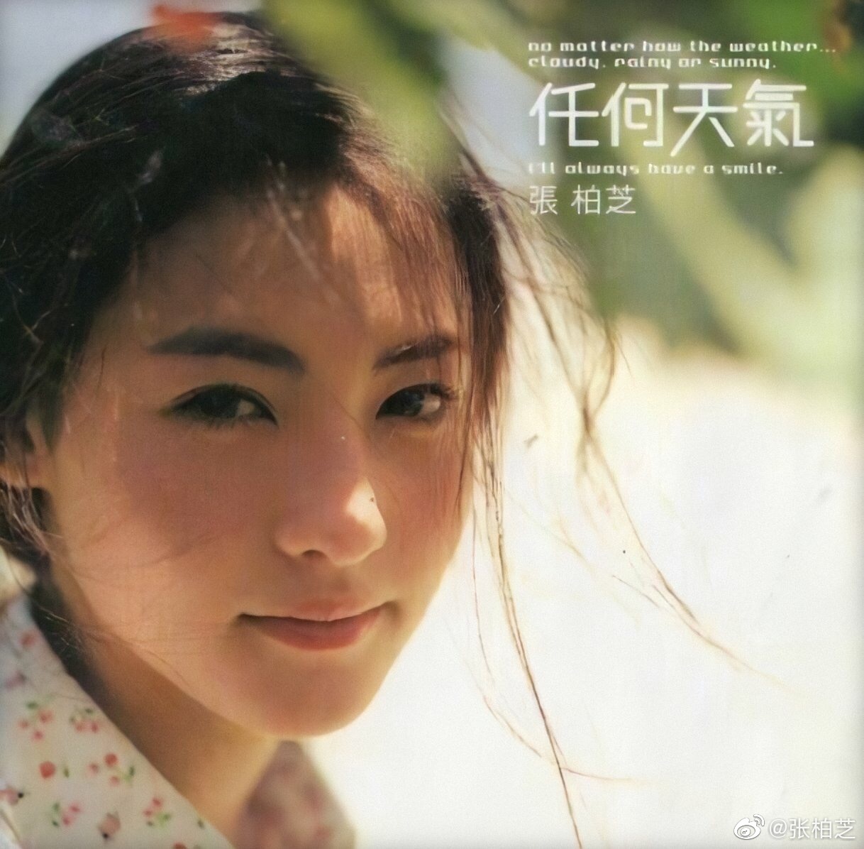 張柏芝的美貌是公認的