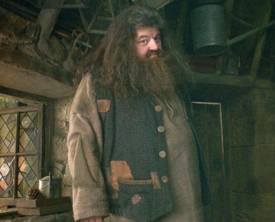 飾演Rubeus Hagrid的Robbie Coltrane