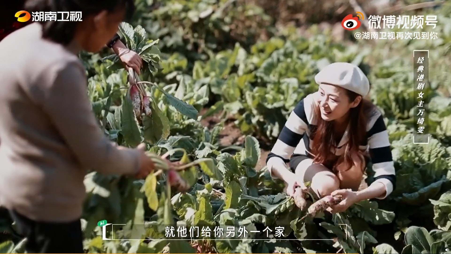 萬綺雯(蚊蚊)嚮往鄉郊生活。