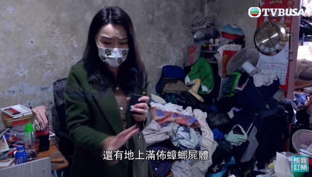 黃穎君以TVB《東張西望》主持人身份採訪大埔富亨邨曱甴屋。