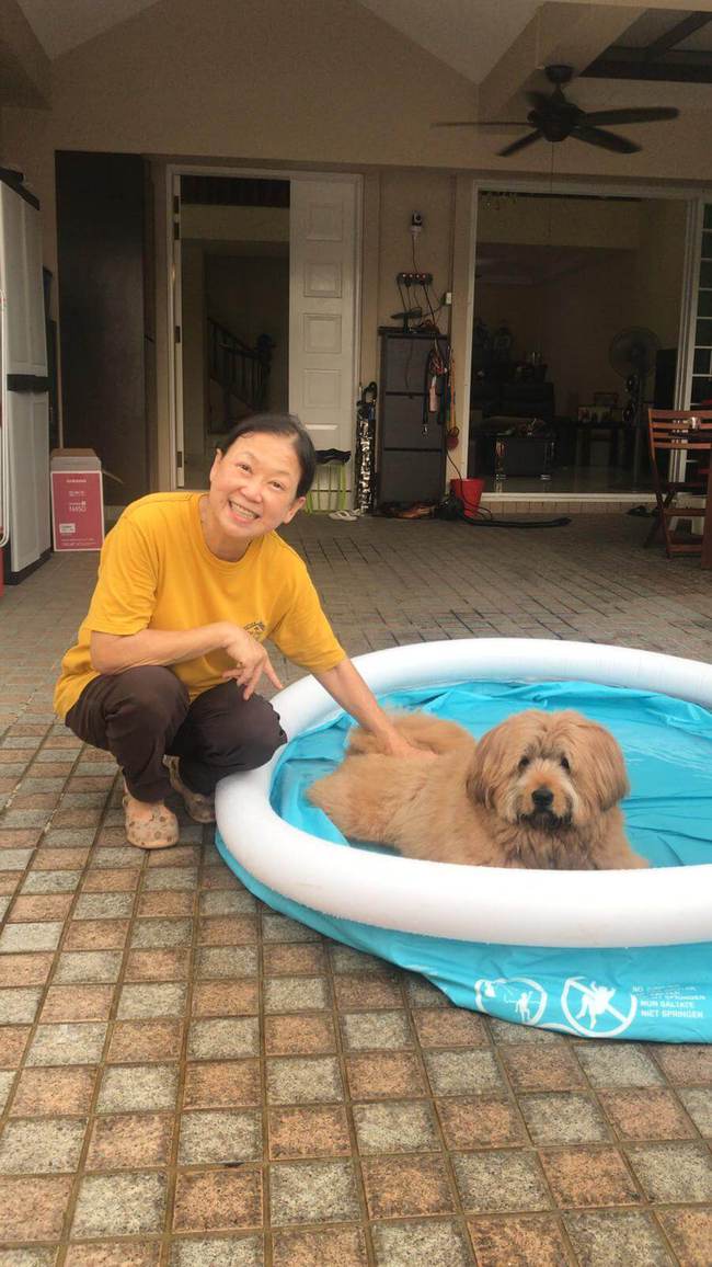 閒時會幫狗狗沖涼