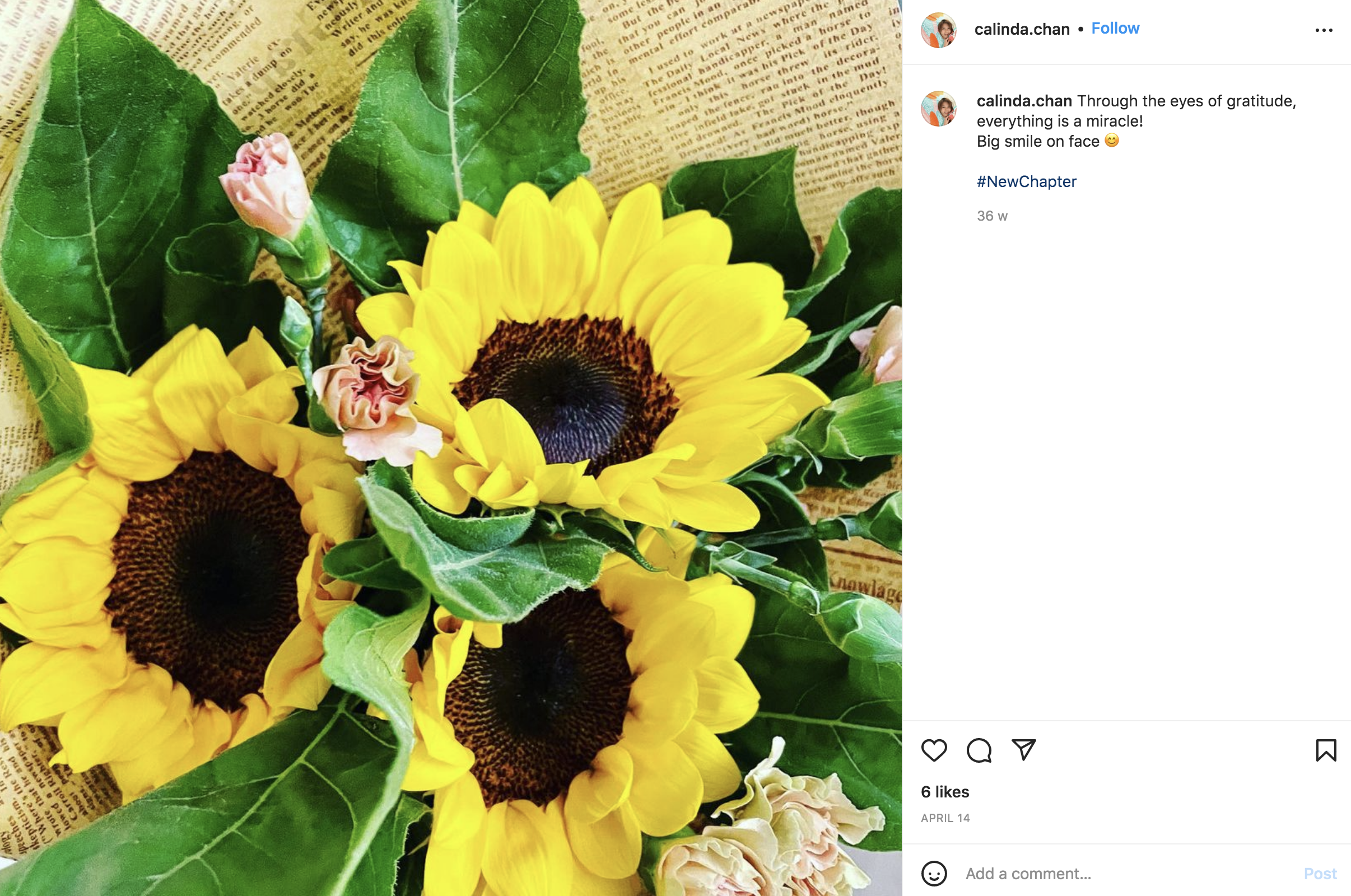 陳宛蔚今年在IG上寫下「Newchapter」字句。