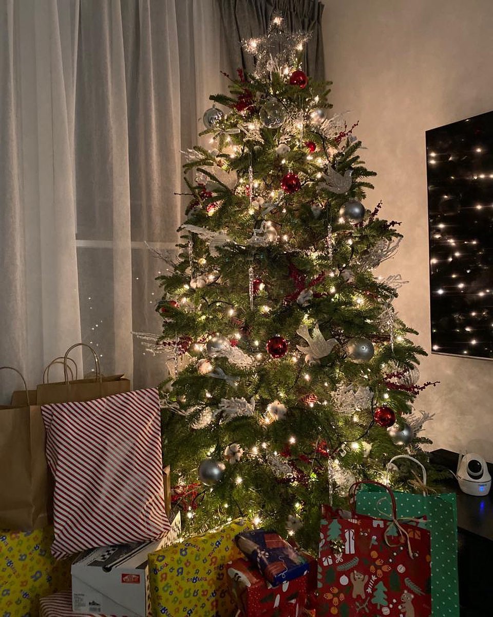 梁靖琪在家中客廳一角布置聖誕樹,意外令千呎豪宅嚗光。