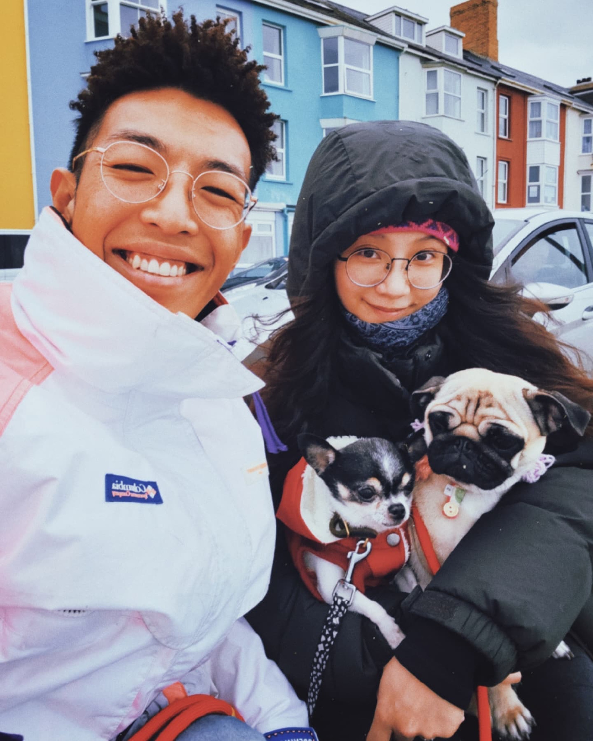 林師傑同太太歐陽巧瑩早在兩個月前已帶同兩隻狗仔移居英國。