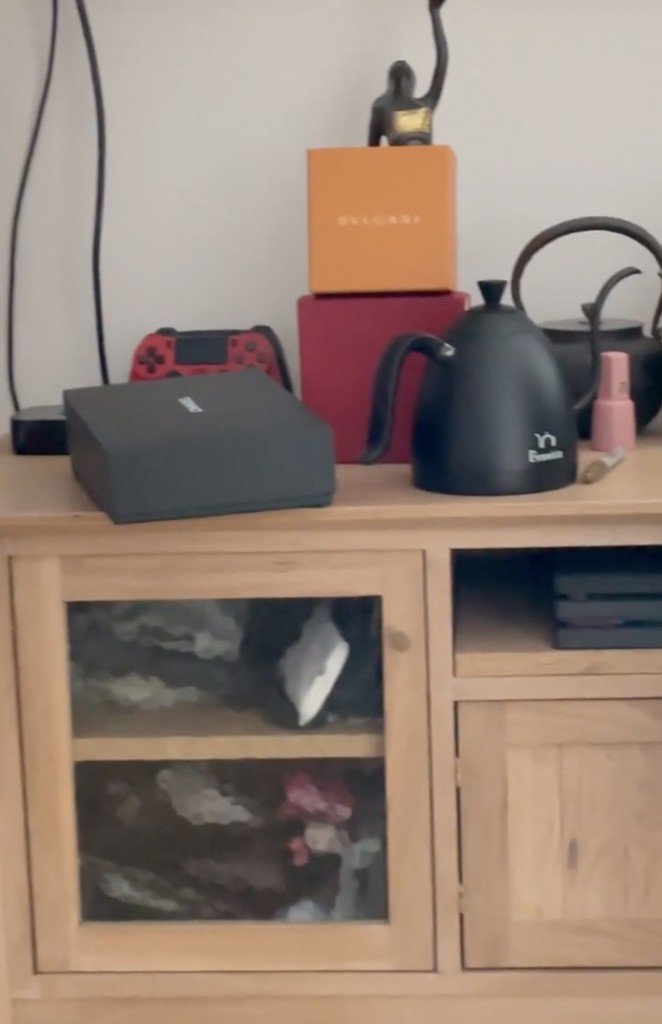 舒淇家中的雜物當中竟有一座金像獎雜在其中。