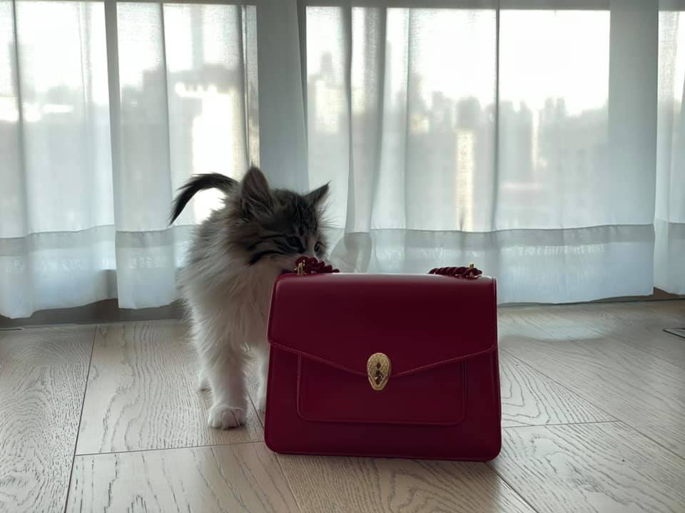 有落地大玻璃可飽覽海景。