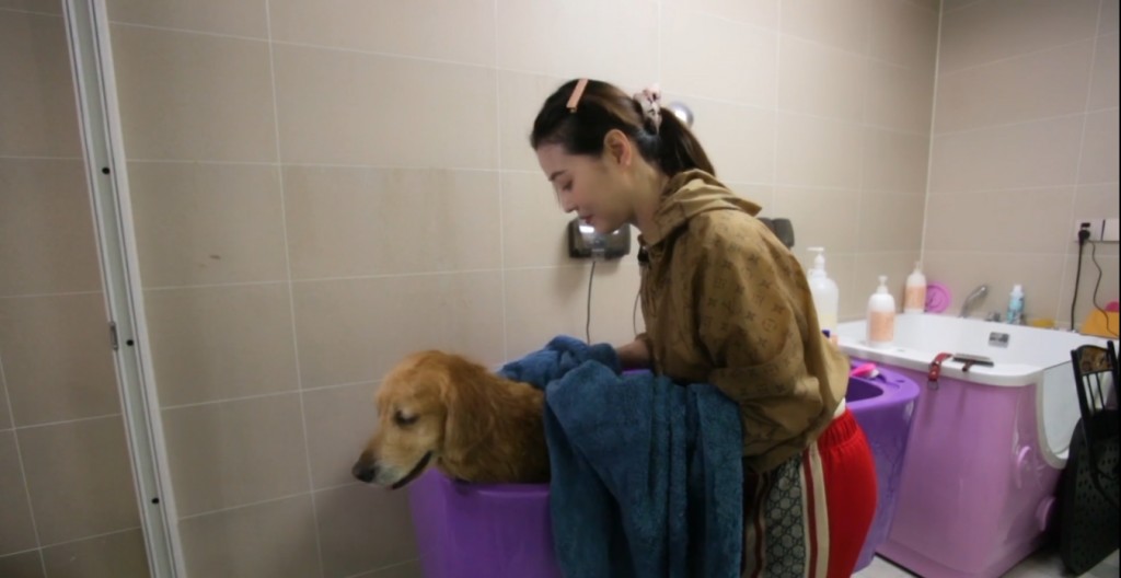 親自為狗狗們沖涼。