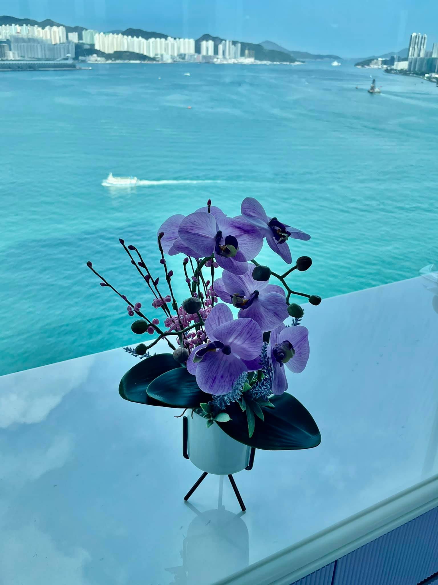 陳曼娜玻璃窗前望維港景色