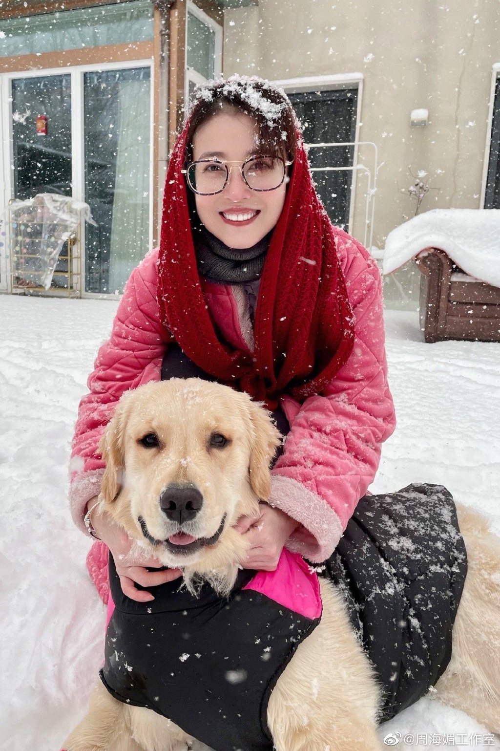 周海媚經常拍片分享自己與狗狗們的日常生活。