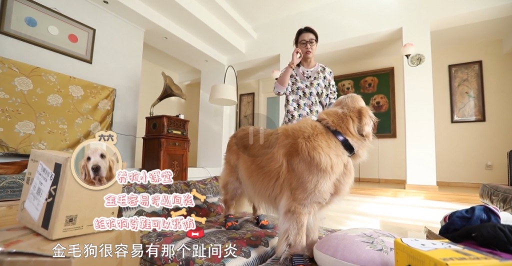 周海媚位於北京的萬呎豪宅曝光!